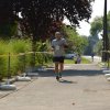 Falunap 2017